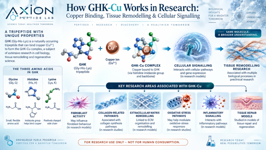 GHK-Cu Peptide for Sale, ghk-cu peptide for sale, ghk-cu peptide, ghk-cu research peptide, ghk-cu research, ghk copper peptide, copper peptide, copper peptide research, copper tripeptide-1, copper tripeptide research, ghk peptide, ghk-cu peptide for research, buy ghk-cu peptide for research, buy ghk-cu research peptide, ghk-cu peptide supplier, ghk-cu research supplier, ghk-cu peptide online, ghk-cu peptide USA, ghk-cu peptide UK, high purity ghk-cu peptide, ghk-cu peptide with COA, ghk-cu certificate of analysis, research ghk-cu, laboratory ghk-cu peptide, laboratory research peptides, research peptide supplier, research peptides USA, research peptides UK, buy research peptides, buy research peptides online, high purity research peptides, research peptides with COA, peptide research, peptide science, peptide biology, peptide chemistry, peptide signalling, peptide signalling pathways, peptide molecular research, peptide structure, amino acid peptides, tripeptide research, glycine histidine lysine, glycyl-l-histidyl-l-lysine, ghk-cu mechanism, how does ghk-cu work, what is ghk-cu, what is copper peptide, what does ghk-cu stand for, ghk-cu explained, copper peptide science, copper binding peptide, peptide copper complex, copper peptide complex, ghk-cu molecular structure, ghk-cu cellular signalling, ghk-cu tissue research, ghk-cu regeneration research, ghk-cu skin research, ghk-cu collagen research, ghk-cu elastin research, ghk-cu fibroblast research, ghk-cu extracellular matrix, ghk-cu tissue remodelling, ghk-cu wound healing research, ghk-cu oxidative stress research, ghk-cu inflammatory signalling, ghk-cu antioxidant research, ghk-cu hair research, ghk-cu hair follicle research, ghk-cu scalp research, copper peptide skin research, copper peptide collagen research, copper peptide regeneration, copper peptide wound healing research, copper peptide hair research, regenerative peptide research, tissue repair peptide research, extracellular matrix research, collagen peptide research, fibroblast peptide research, skin regeneration peptide research, peptide wound healing research, ghk-cu vs semaglutide, ghk-cu vs tirzepatide, ghk-cu vs retatrutide, is ghk-cu a weight loss peptide, peptides for weight loss research, metabolic peptide research, ghk-cu safety research, ghk-cu clinical research, ghk-cu clinical studies, ghk-cu preclinical research, ghk-cu human studies, ghk-cu peptide purity, ghk-cu HPLC testing, ghk-cu mass spectrometry, ghk-cu batch testing, ghk-cu batch traceability, peptide purity testing, peptide HPLC analysis, peptide mass spectrometry, peptide quality control, Axion Peptide Lab
