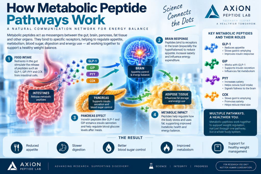 peptides for weight loss,peptides for weight loss, weight loss peptides, peptide weight loss research, peptides and weight management, metabolic peptides, peptide research for obesity, weight management peptide research, GLP-1 peptides, GLP-1 weight loss research, GLP-1 receptor agonists, GLP-1 and weight management, GIP peptides, GIP weight loss research, GLP-1 and GIP research, GLP-1 GIP receptor agonist, incretin hormone research, incretin-based therapies, metabolic peptide pathways, peptide metabolism research, appetite regulation peptides, appetite signalling peptides, satiety peptides, peptides and appetite regulation, peptides and metabolic health, gut brain axis peptides, gut hormone research, glucose regulation peptides, insulin signalling peptides, gastric emptying GLP-1, obesity peptide research, obesity clinical trials peptides, weight loss peptide clinical trials, peptide weight loss studies, weight loss peptide science, peptide weight loss evidence, peptide-based weight management, semaglutide research, semaglutide weight loss research, semaglutide clinical trials, semaglutide GLP-1 research, semaglutide research peptide, tirzepatide research, tirzepatide weight loss research, tirzepatide clinical trials, tirzepatide GIP GLP-1, tirzepatide research peptide, retatrutide research, retatrutide weight loss research, retatrutide clinical trials, retatrutide triple agonist, retatrutide GLP-1 GIP glucagon, retatrutide research peptide, semaglutide vs tirzepatide, tirzepatide vs retatrutide, semaglutide vs retatrutide, semaglutide vs tirzepatide vs retatrutide, GLP-1 vs GIP, dual receptor agonist research, triple receptor agonist research, multi receptor agonists, glucagon receptor research, next generation metabolic peptides, peptide obesity research, peptide weight management studies, latest peptide research, peptide clinical research, peptide receptor research, peptide laboratory research, research peptides, research peptides USA, research peptides UK, research peptides for laboratory use, laboratory research peptides, peptides for scientific research, peptides for R&D, research use only peptides, RUO peptides, peptide research supplier, research peptide supplier USA, research peptide supplier UK, buy research peptides, buy research peptides USA, buy research peptides UK, order research peptides online, research peptides online, peptide research products, laboratory peptide supplier, peptide supplier for researchers, high purity research peptides, peptide catalogue online, metabolic research peptides for sale, GLP-1 research peptides for sale, semaglutide research peptide for sale, buy semaglutide research peptide, tirzepatide research peptide for sale, buy tirzepatide research peptide, retatrutide research peptide for sale, buy retatrutide research peptide, weight loss peptide research supplier, Axion Peptide Lab, Axion Peptide Lab research peptides, buy peptides from Axion Peptide Lab
