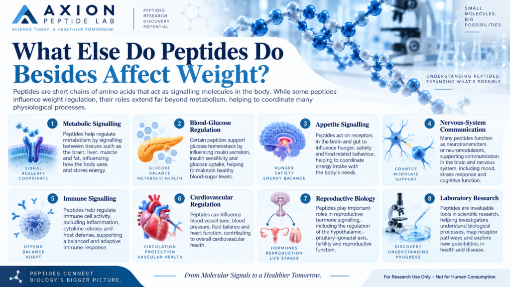 What do peptides do infographic explaining peptide functions, potential benefits, weight regulation, safety and research