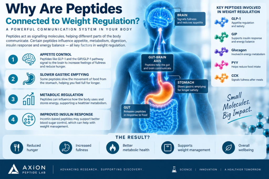 peptides for weight loss,peptides for weight loss, weight loss peptides, peptide weight loss research, peptides and weight management, metabolic peptides, peptide research for obesity, weight management peptide research, GLP-1 peptides, GLP-1 weight loss research, GLP-1 receptor agonists, GLP-1 and weight management, GIP peptides, GIP weight loss research, GLP-1 and GIP research, GLP-1 GIP receptor agonist, incretin hormone research, incretin-based therapies, metabolic peptide pathways, peptide metabolism research, appetite regulation peptides, appetite signalling peptides, satiety peptides, peptides and appetite regulation, peptides and metabolic health, gut brain axis peptides, gut hormone research, glucose regulation peptides, insulin signalling peptides, gastric emptying GLP-1, obesity peptide research, obesity clinical trials peptides, weight loss peptide clinical trials, peptide weight loss studies, weight loss peptide science, peptide weight loss evidence, peptide-based weight management, semaglutide research, semaglutide weight loss research, semaglutide clinical trials, semaglutide GLP-1 research, semaglutide research peptide, tirzepatide research, tirzepatide weight loss research, tirzepatide clinical trials, tirzepatide GIP GLP-1, tirzepatide research peptide, retatrutide research, retatrutide weight loss research, retatrutide clinical trials, retatrutide triple agonist, retatrutide GLP-1 GIP glucagon, retatrutide research peptide, semaglutide vs tirzepatide, tirzepatide vs retatrutide, semaglutide vs retatrutide, semaglutide vs tirzepatide vs retatrutide, GLP-1 vs GIP, dual receptor agonist research, triple receptor agonist research, multi receptor agonists, glucagon receptor research, next generation metabolic peptides, peptide obesity research, peptide weight management studies, latest peptide research, peptide clinical research, peptide receptor research, peptide laboratory research, research peptides, research peptides USA, research peptides UK, research peptides for laboratory use, laboratory research peptides, peptides for scientific research, peptides for R&D, research use only peptides, RUO peptides, peptide research supplier, research peptide supplier USA, research peptide supplier UK, buy research peptides, buy research peptides USA, buy research peptides UK, order research peptides online, research peptides online, peptide research products, laboratory peptide supplier, peptide supplier for researchers, high purity research peptides, peptide catalogue online, metabolic research peptides for sale, GLP-1 research peptides for sale, semaglutide research peptide for sale, buy semaglutide research peptide, tirzepatide research peptide for sale, buy tirzepatide research peptide, retatrutide research peptide for sale, buy retatrutide research peptide, weight loss peptide research supplier, Axion Peptide Lab, Axion Peptide Lab research peptides, buy peptides from Axion Peptide Lab

