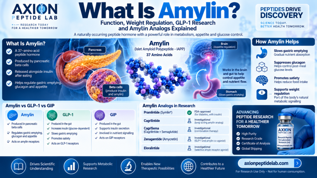 what is amylin, What is amylin infographic explaining amylin function, appetite regulation, gastric emptying, glucagon and GLP-1 research